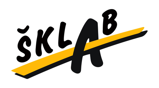 Organizer logo