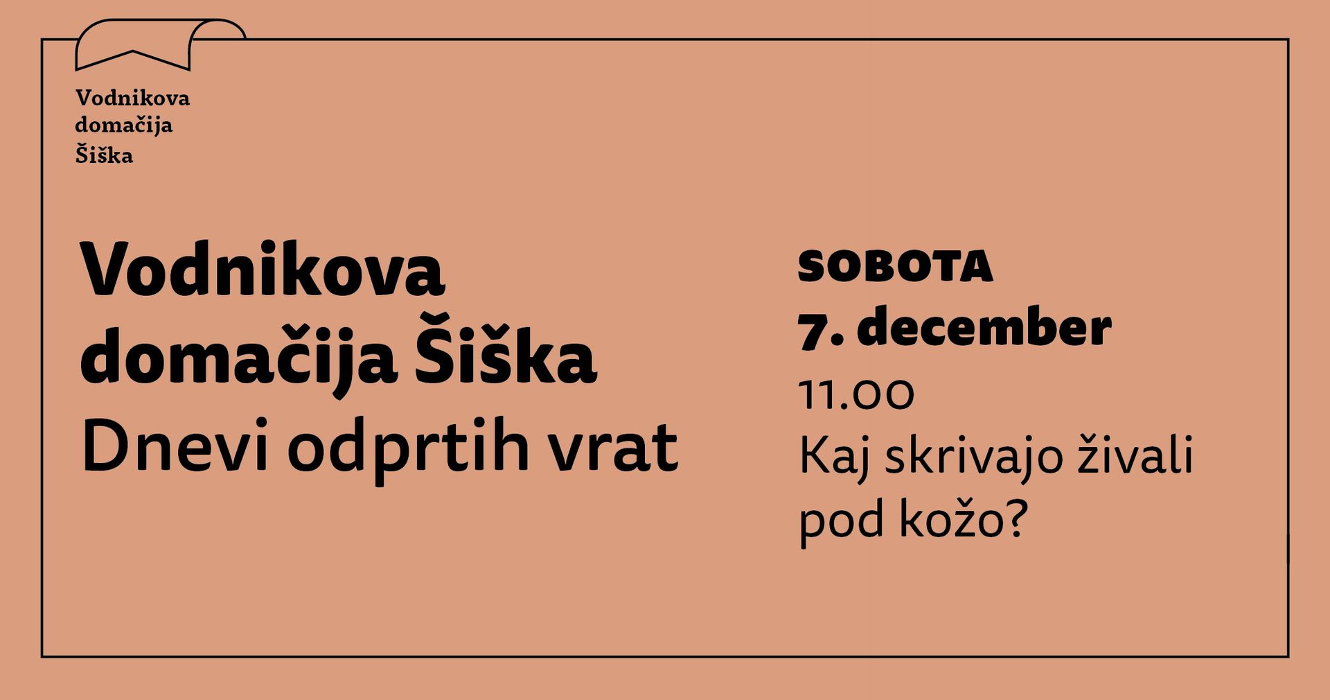 Kaj skrivajo živali pod kožo? / delavnica za otroke (6+)
