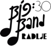 Organizer logo
