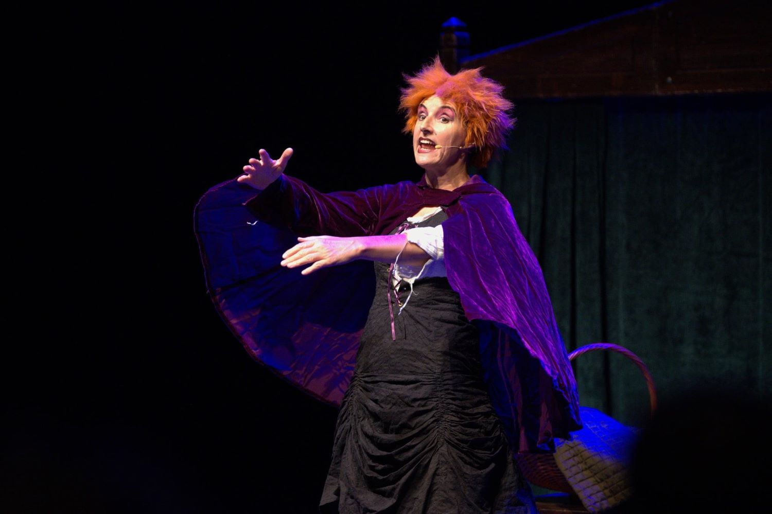 POKLIC COPRNICE MICE