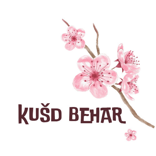 Organizer logo