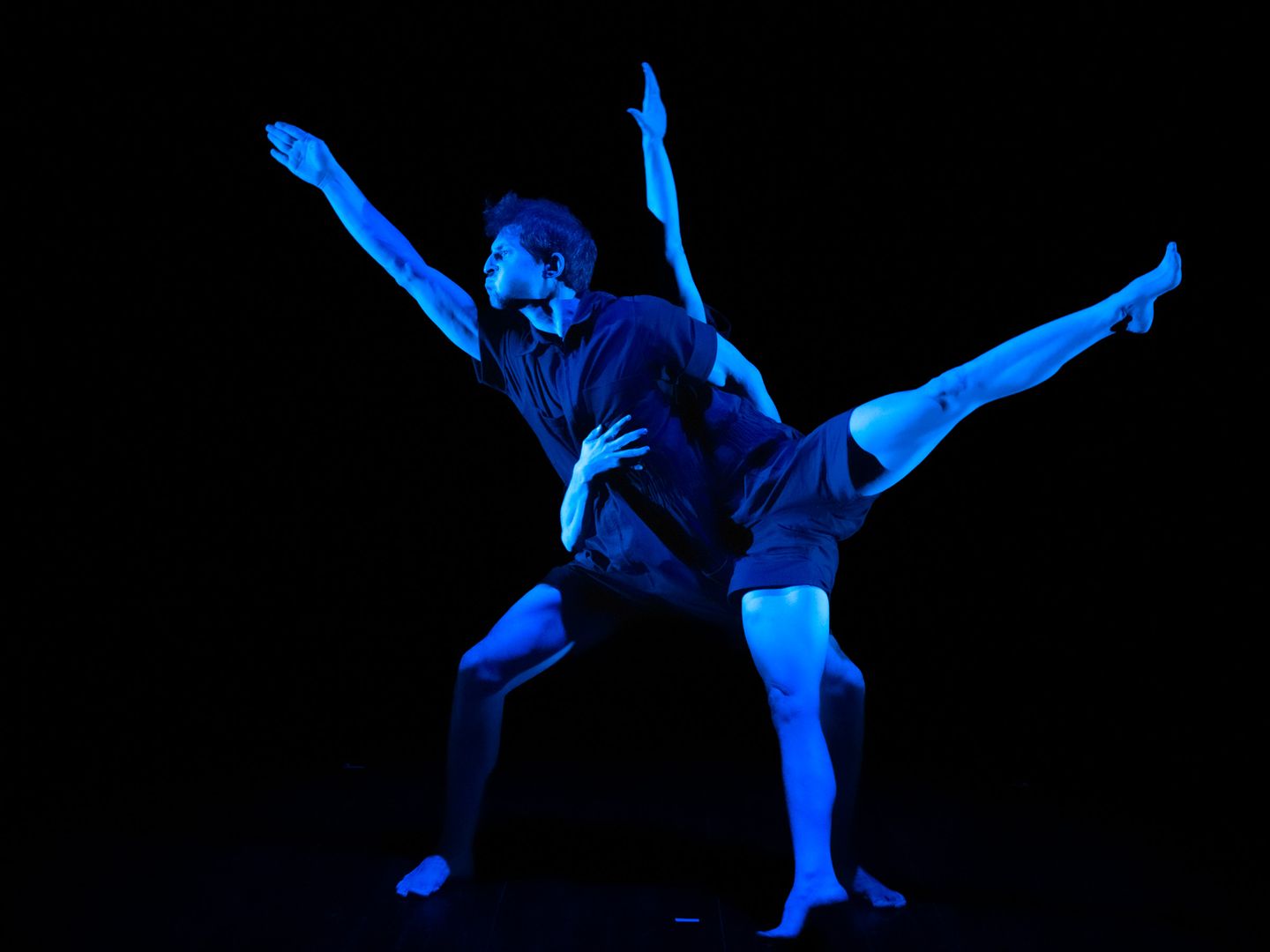Fabla Collective: Kopernikova teorija