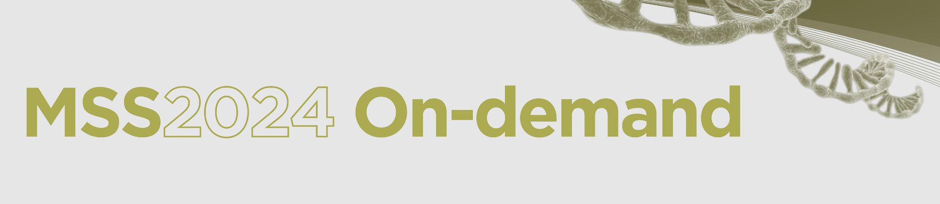 Welcome to the MSS2024!