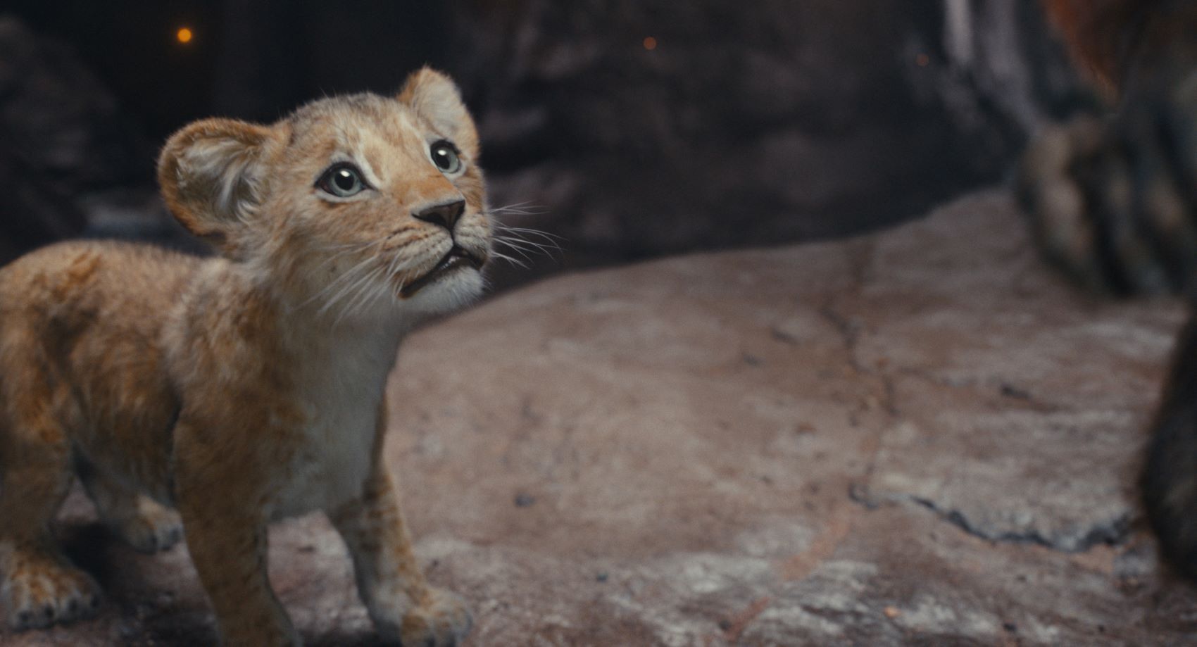 Počitniški kino: Mufasa - Levji kralj
