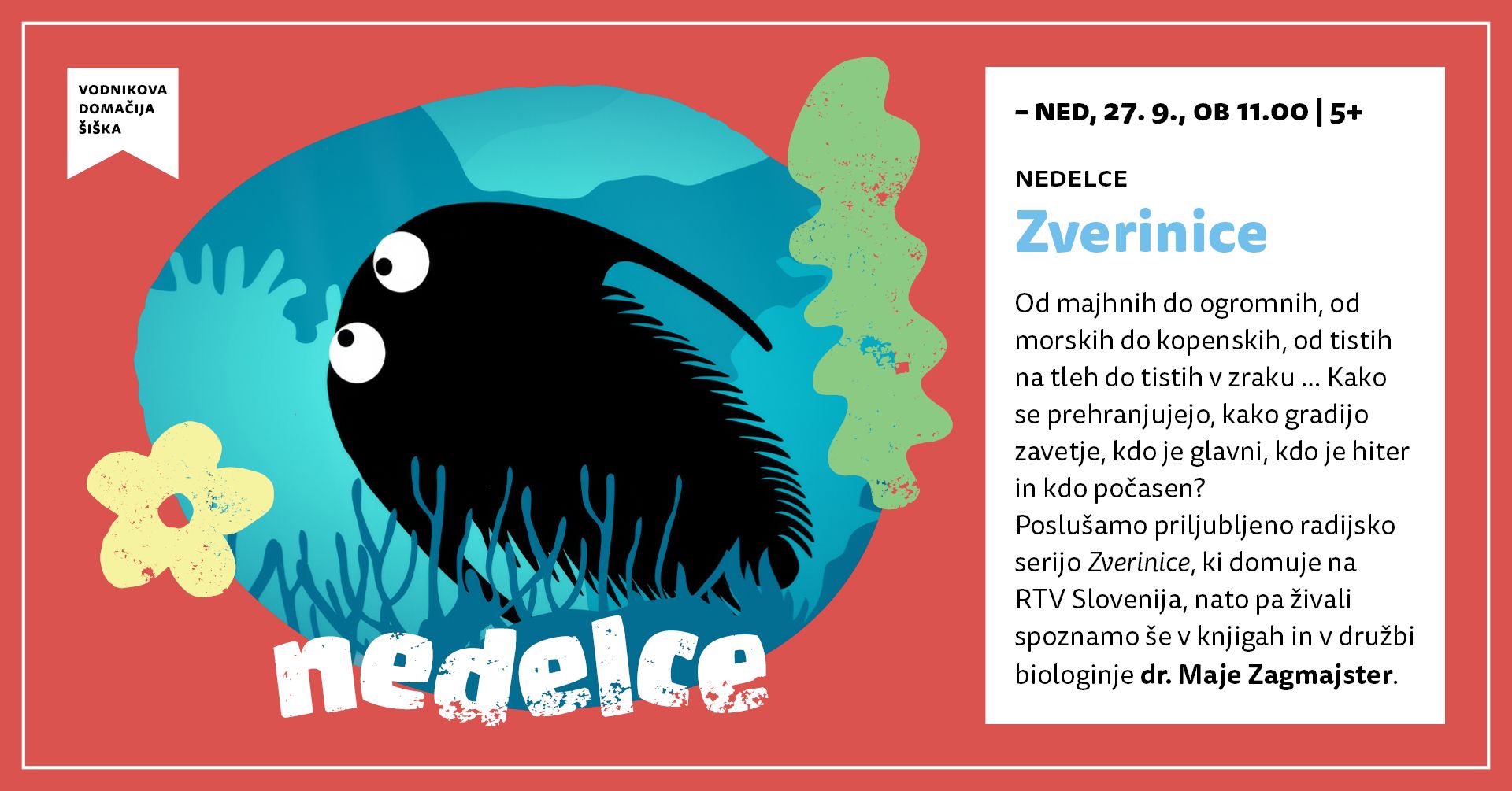 Nedelce: Zverinice