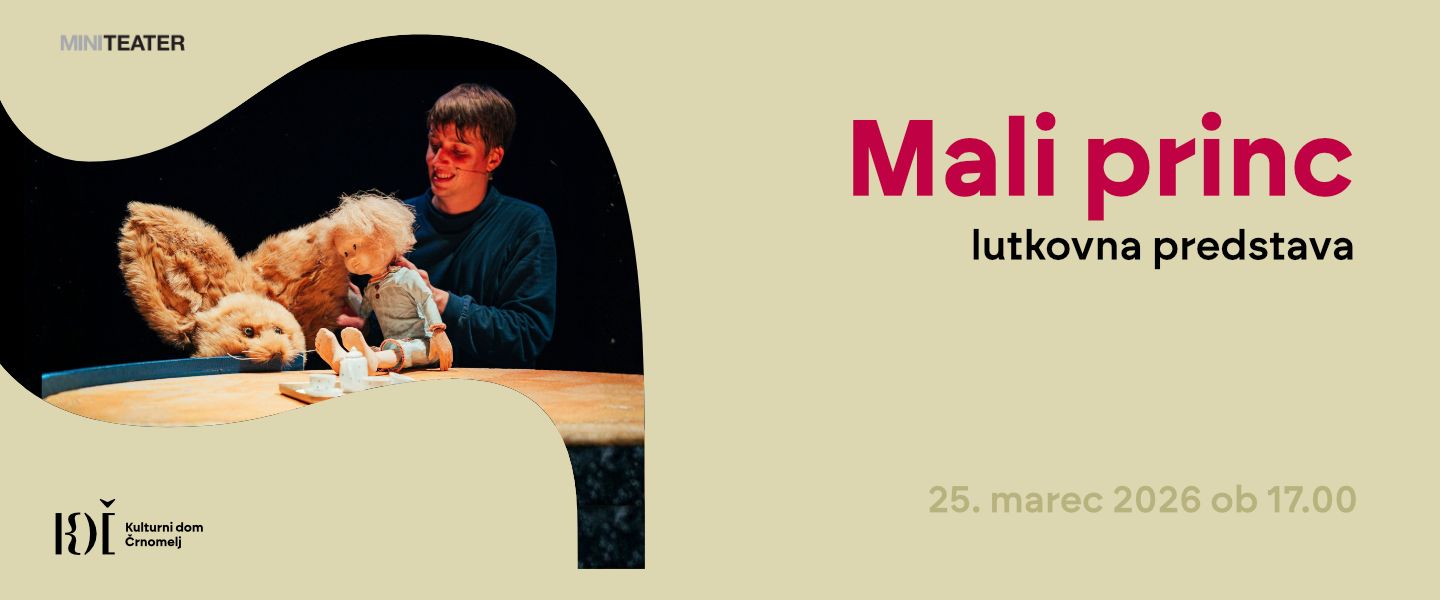 Lutkovna predstava Mali princ, Mini Teater