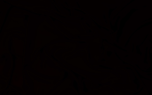 Organizer logo