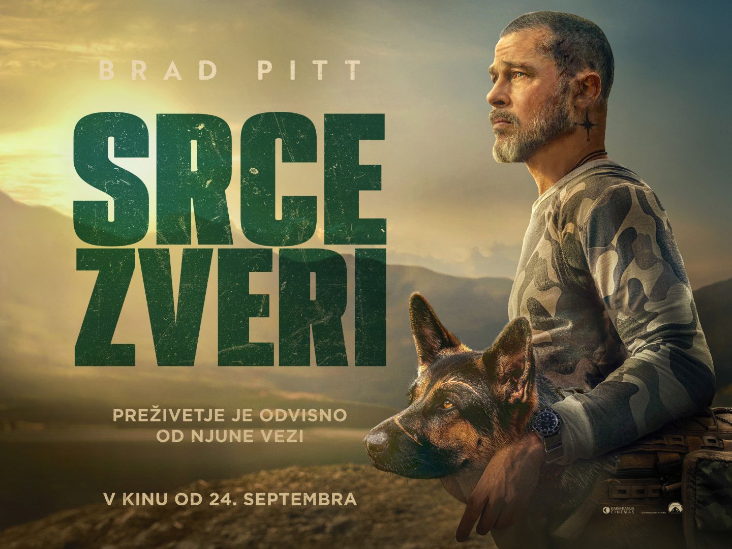 Srce zveri