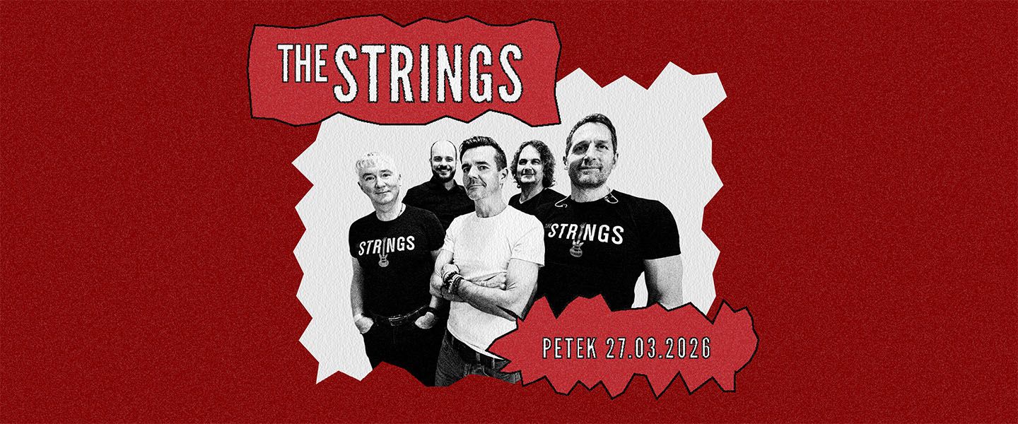 THE STRINGS