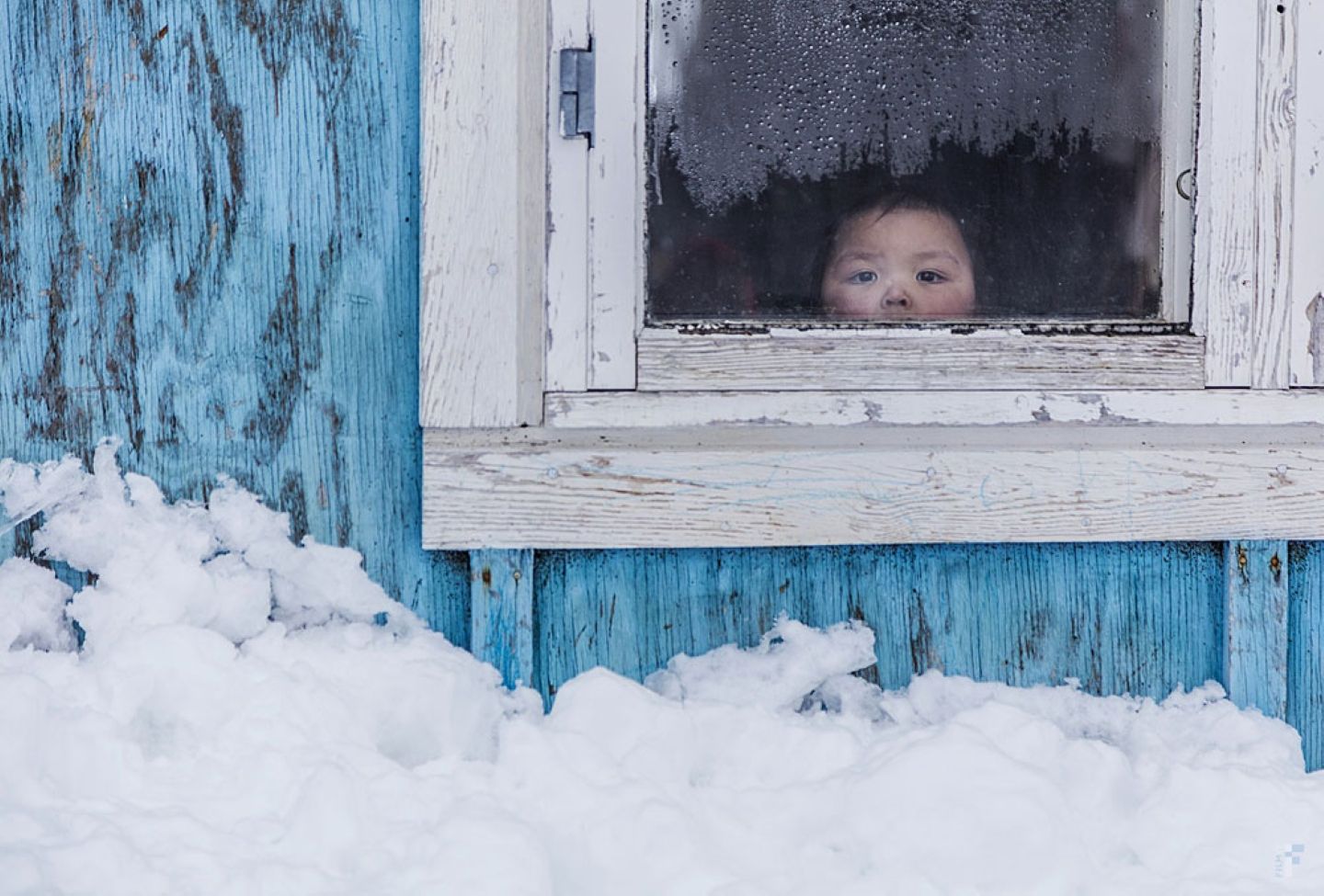 Zadnji ledeni lovci | FGF 2026