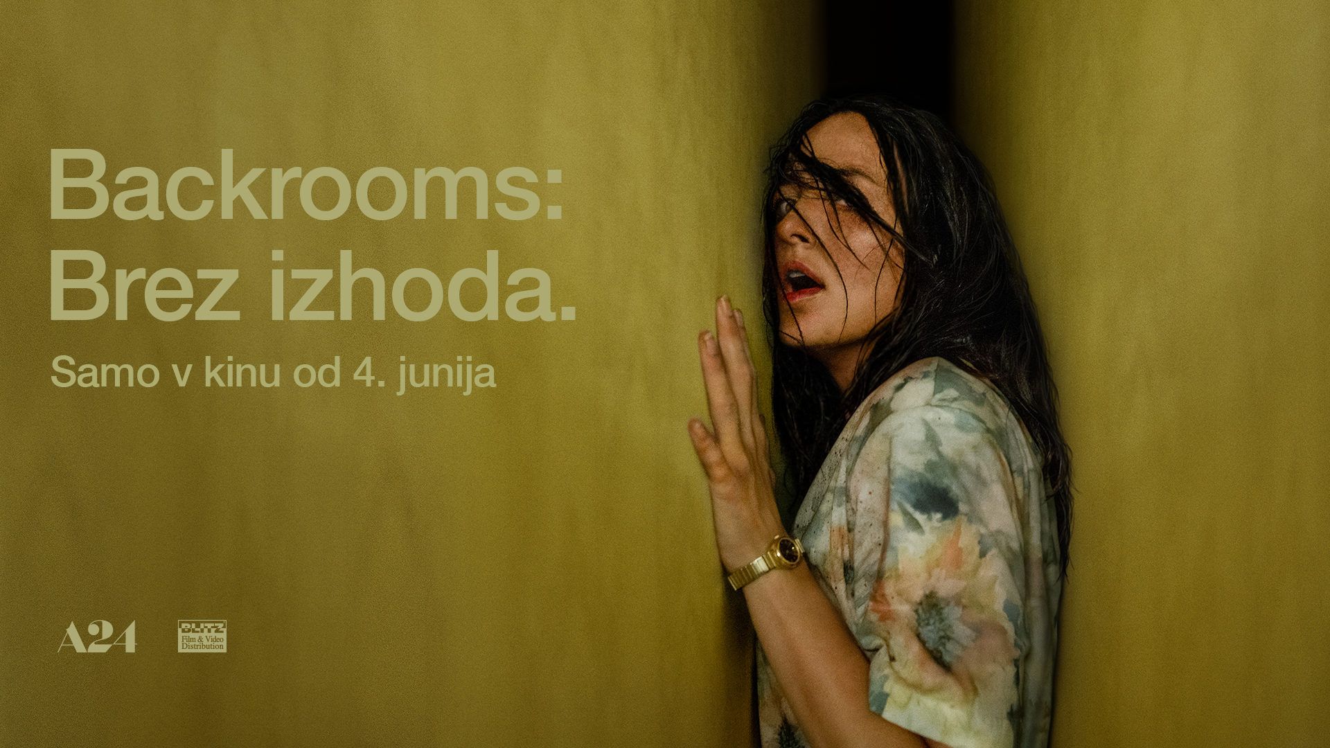 Backrooms: Brez izhoda