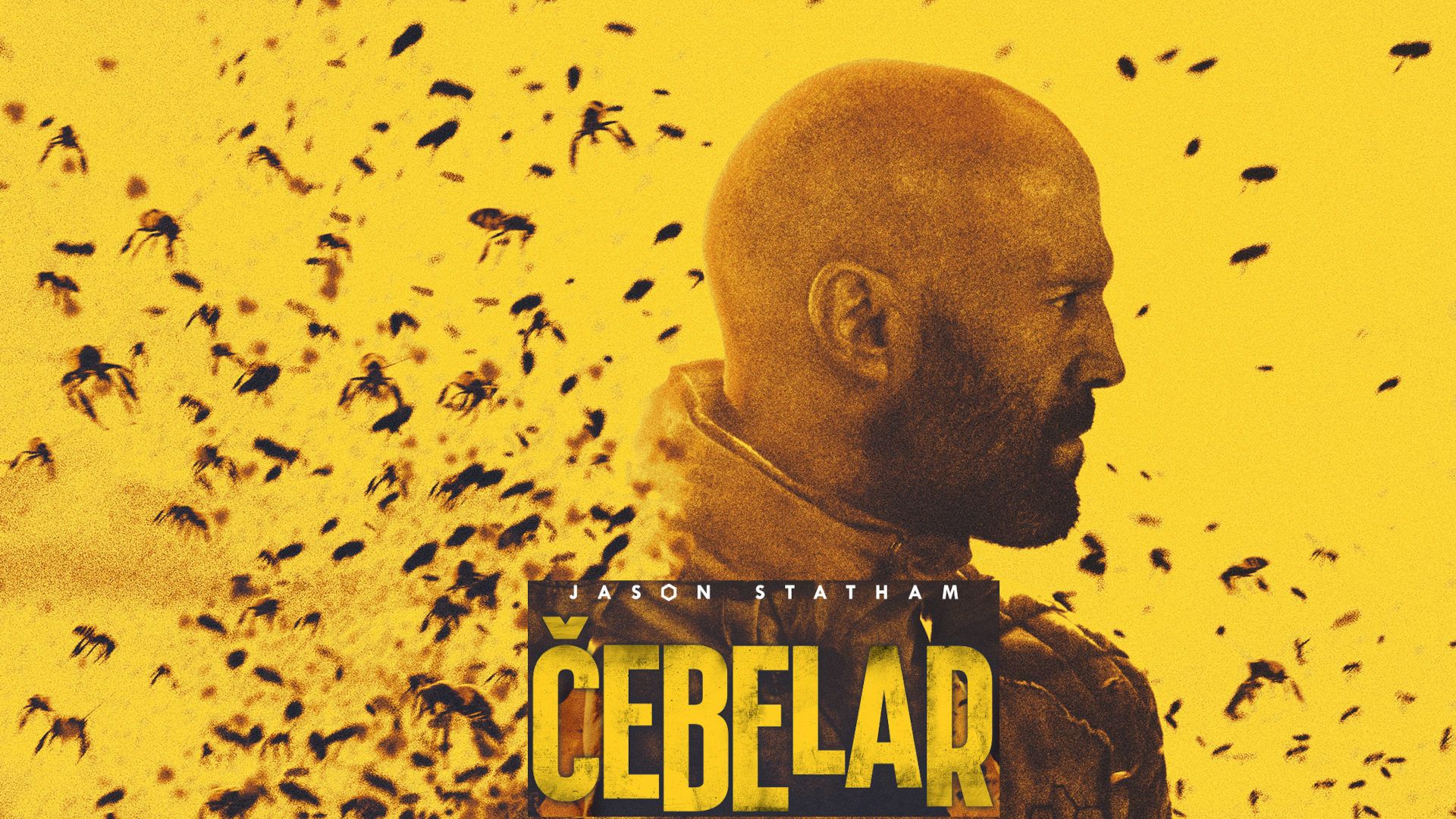 Čebelar