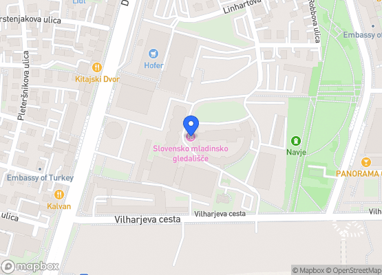 Slovensko mladinsko gledališče