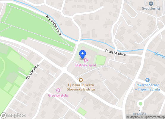 Grad Slovenska Bistrica