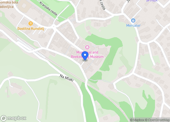 Plesna dvorana - 1 nadstropje radovljiške graščine