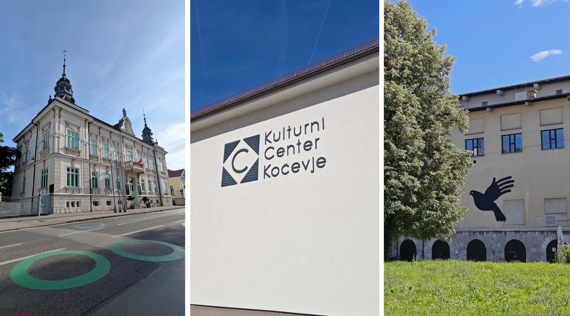 Kulturni domovi in gledališča