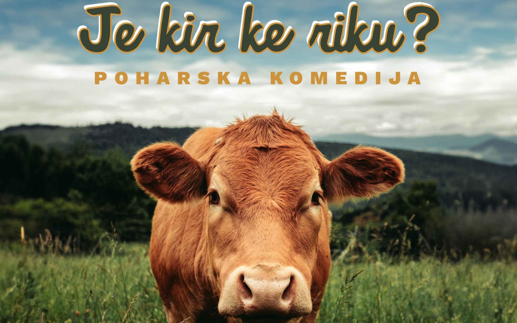 Je kir ke riku? Poharska komedija