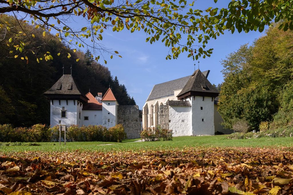 Žička kartuzija