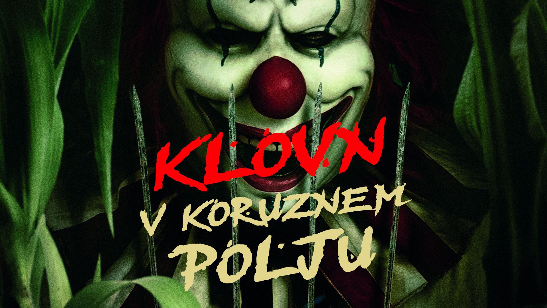 Klovn v koruznem polju