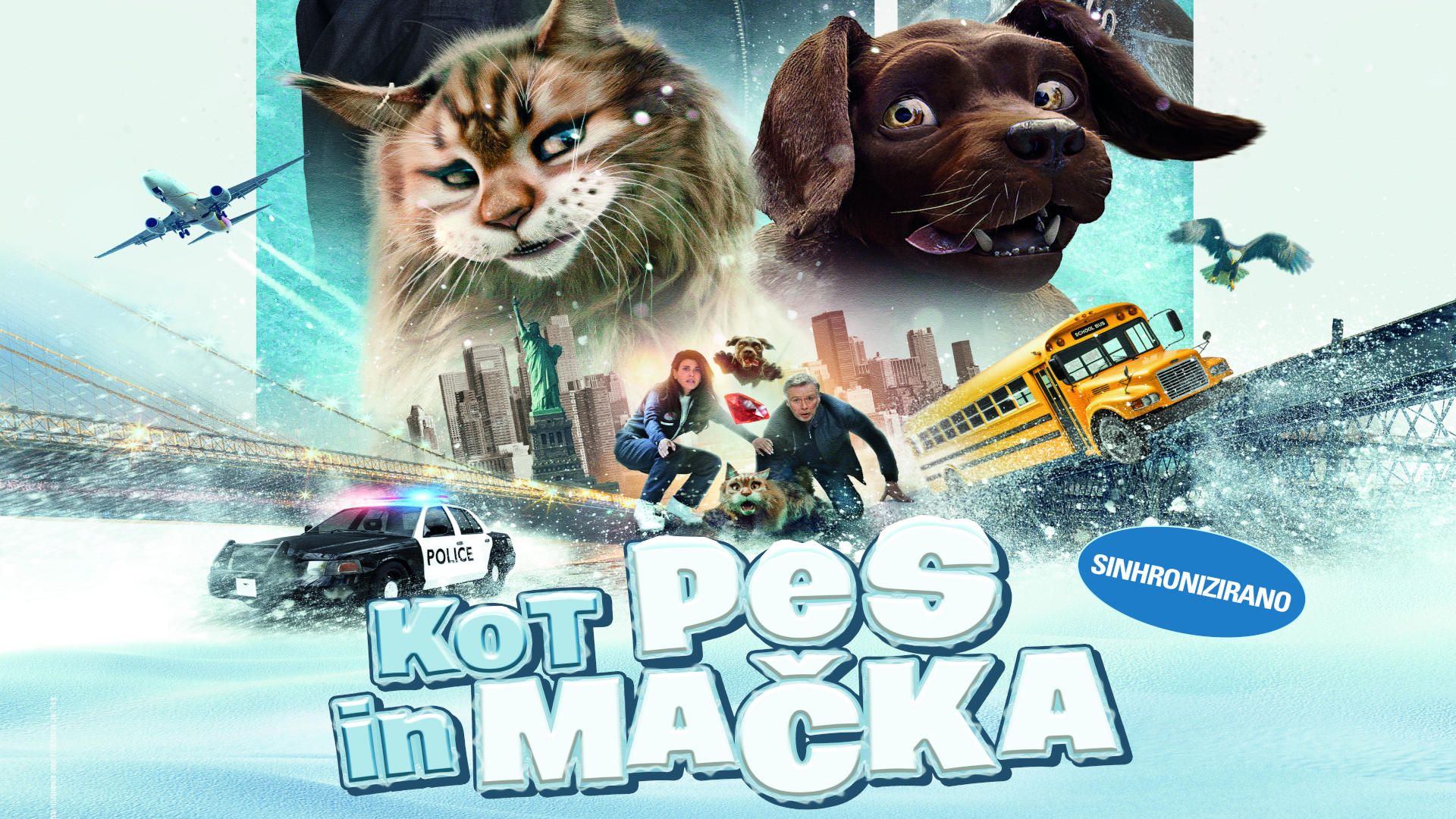 Kot pes in mačka