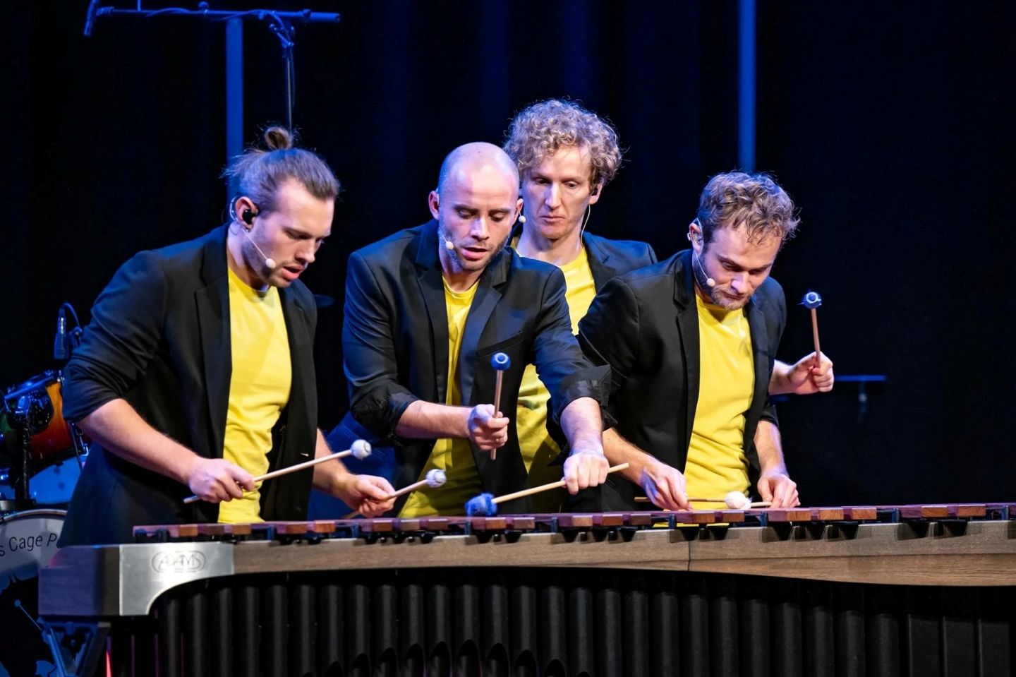 LOUIE'S CAGE PERCUSSION »PURE« | Glasbeno scenski abonma DRUGI in IZVEN