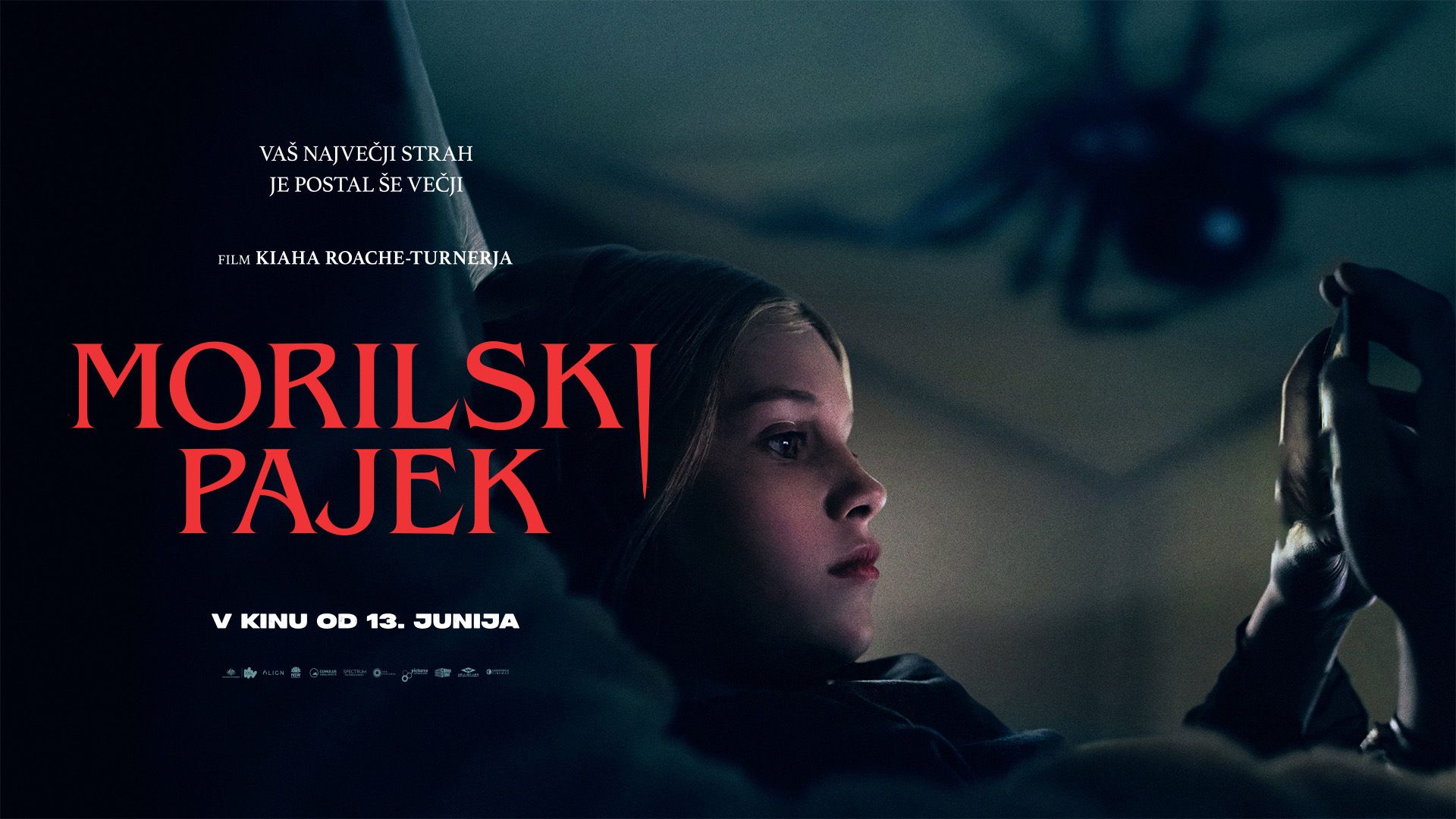 Morilski pajek