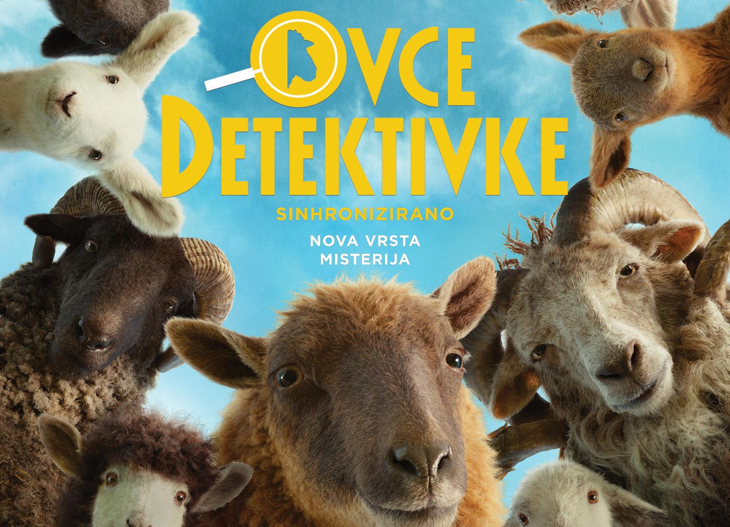 Ovce detektivke