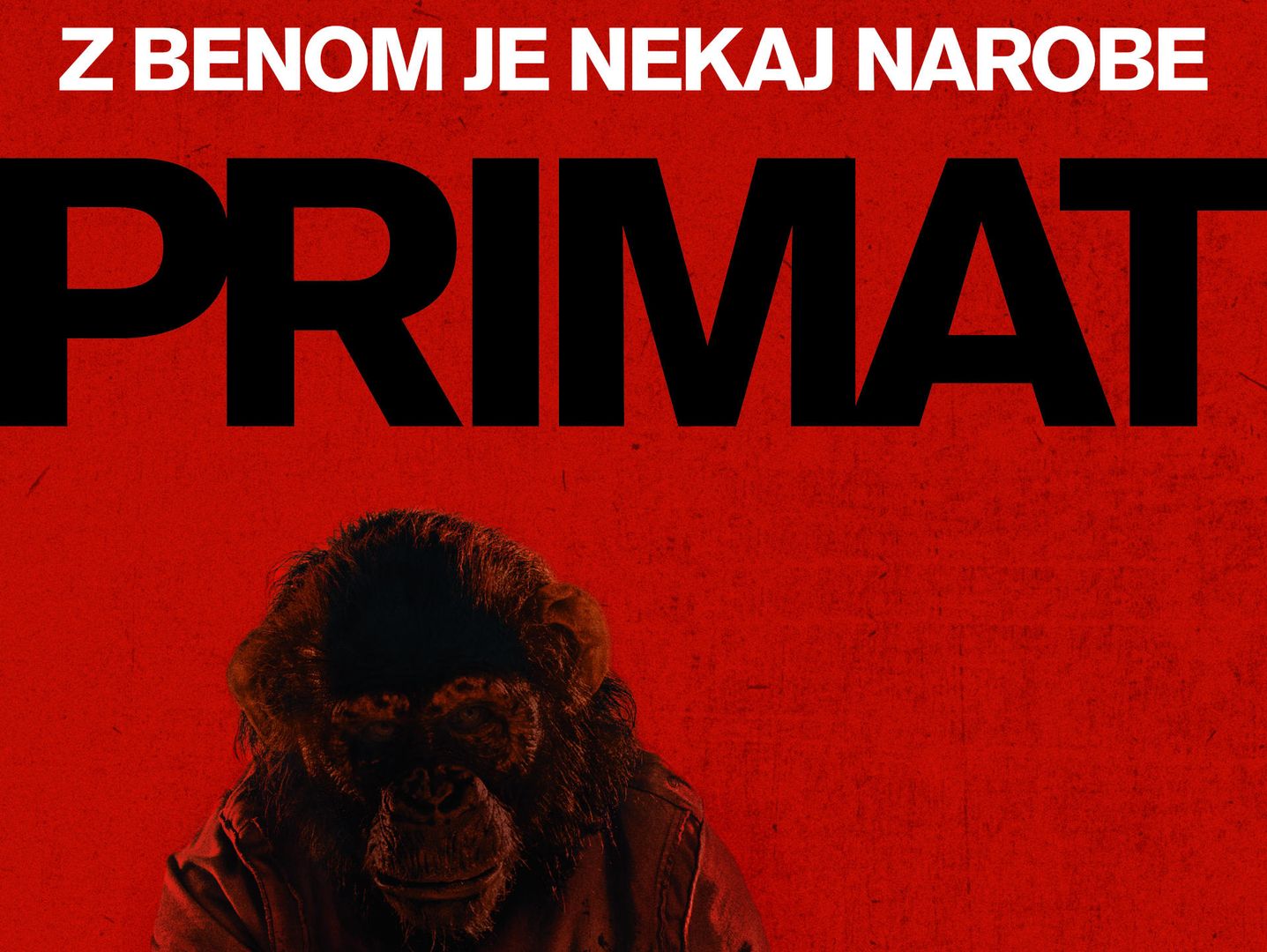 Primat