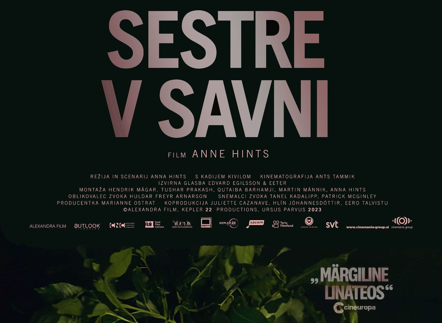 Sestre v savni