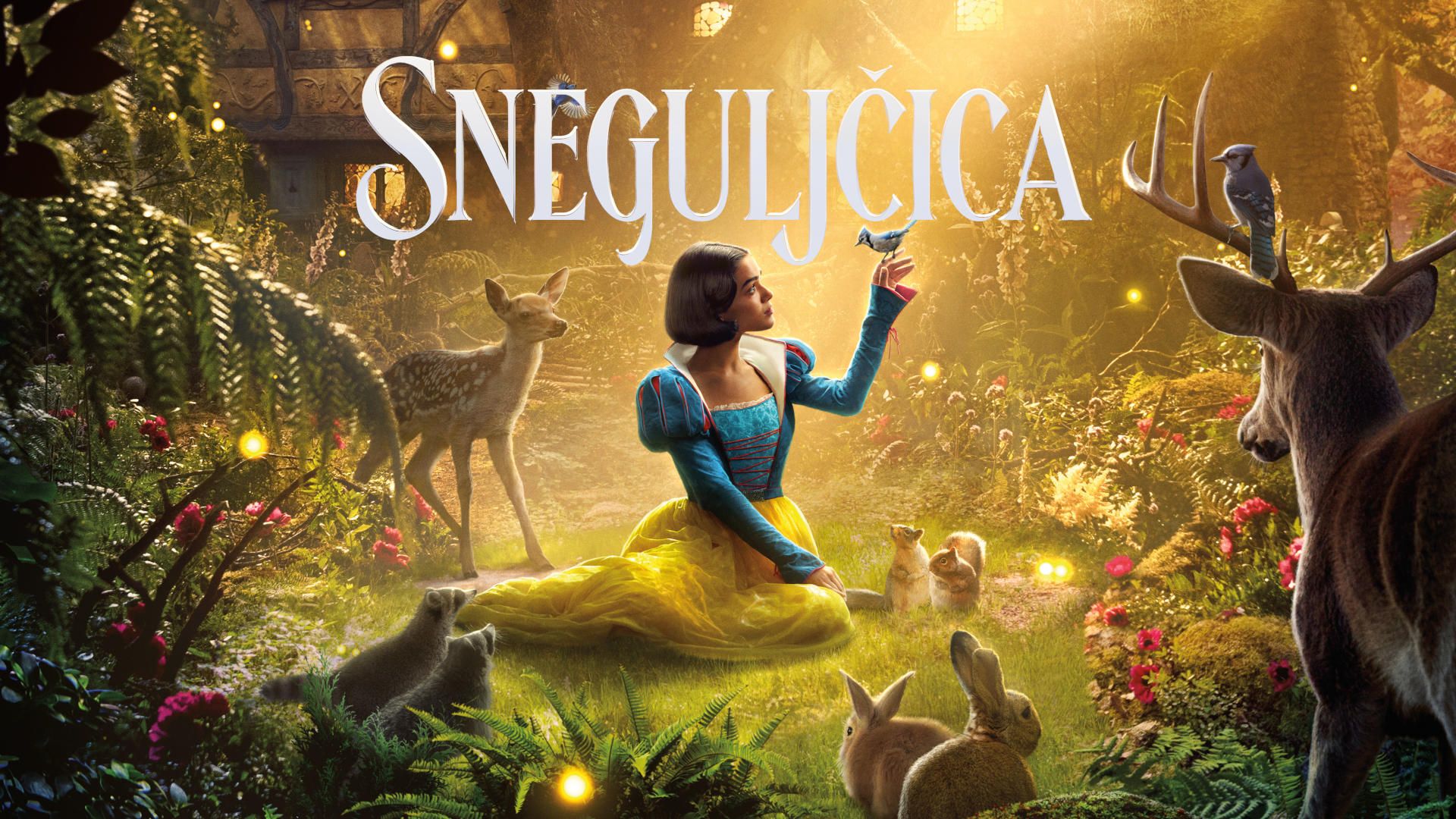 Sneguljčica