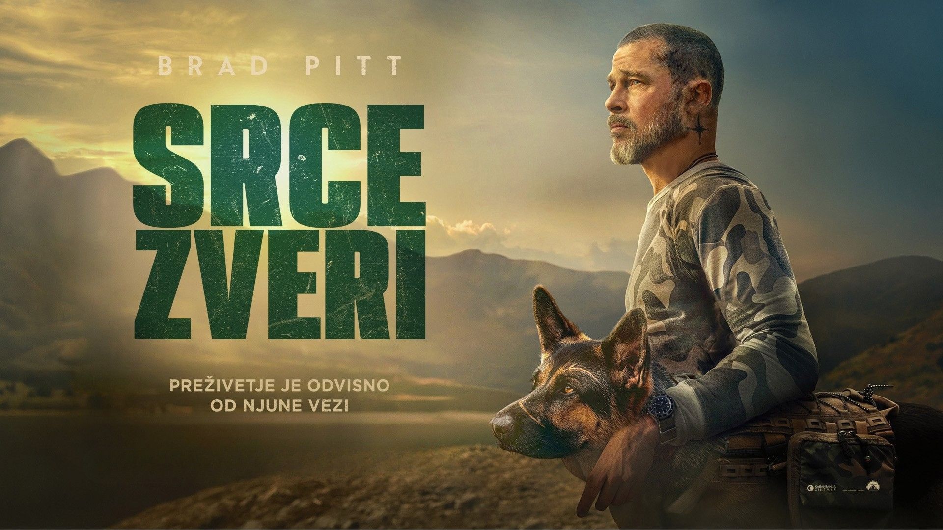 Srce zveri