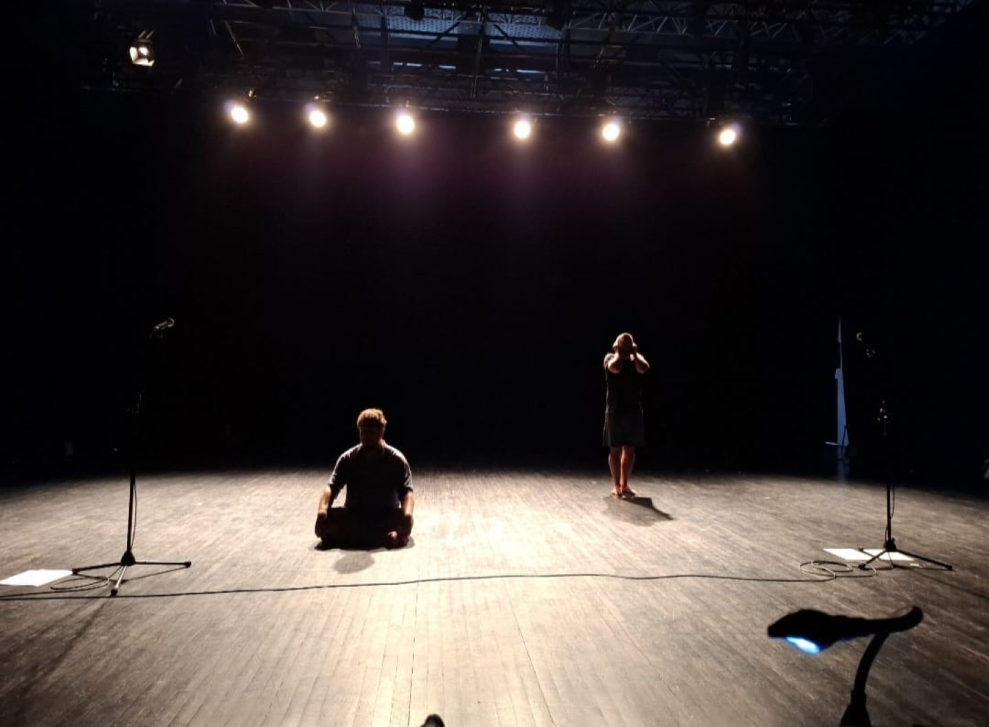 Mladi levi | Francesca Berardi: HAMLET ALI F.O.M.O.